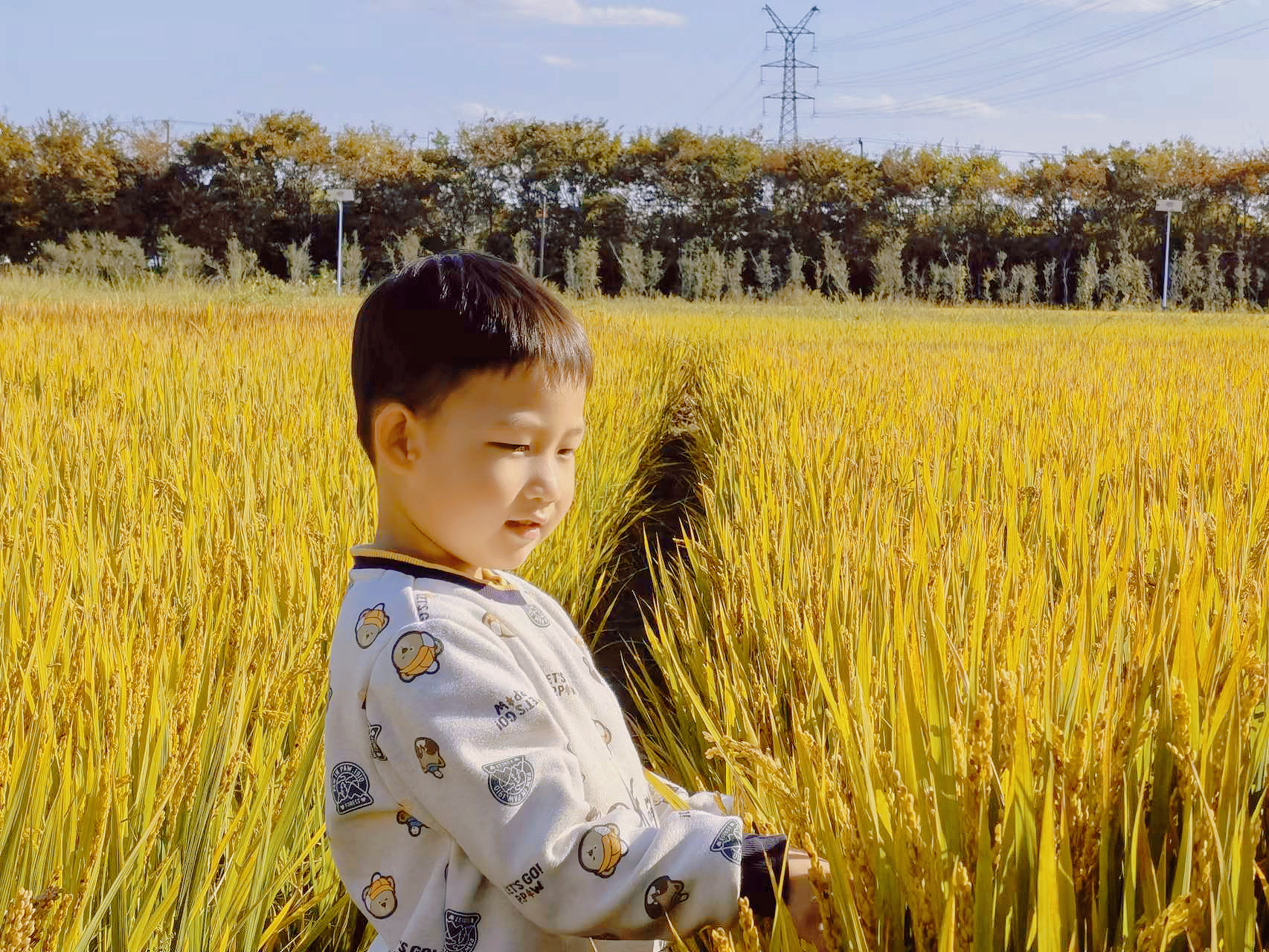 二幼：节粒粒之粮   惜不易之食