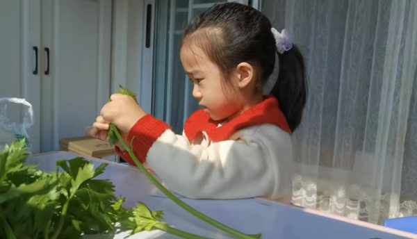 二幼：缤纷秋日  美好“食”光