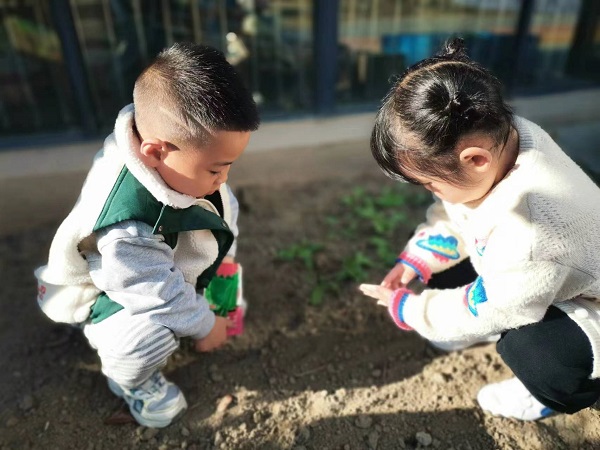 二幼：收获一“萝”筐的快乐