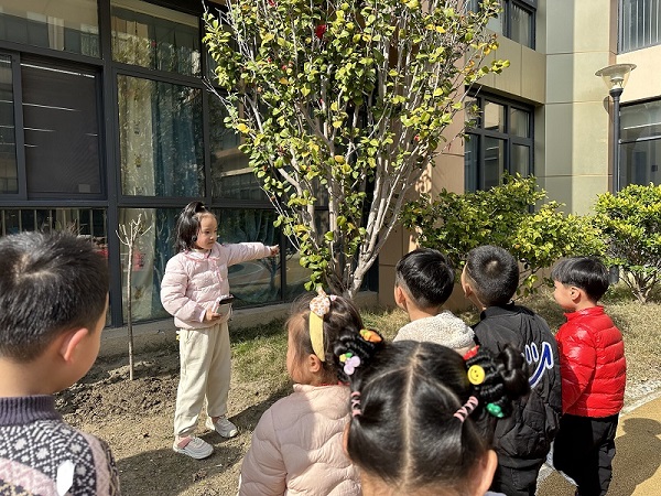 二幼：春风十里    一“植”有你