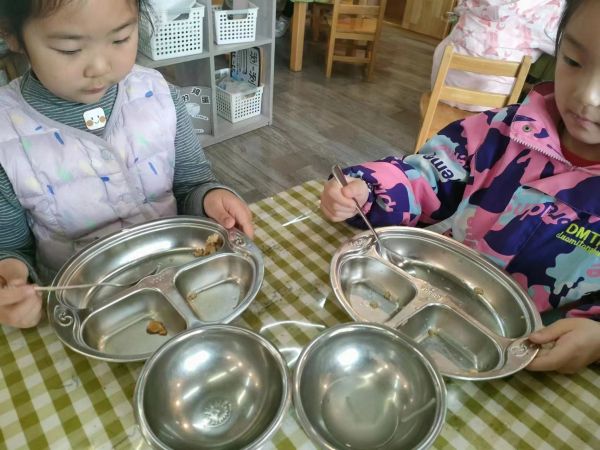 二幼：追“光”进行时