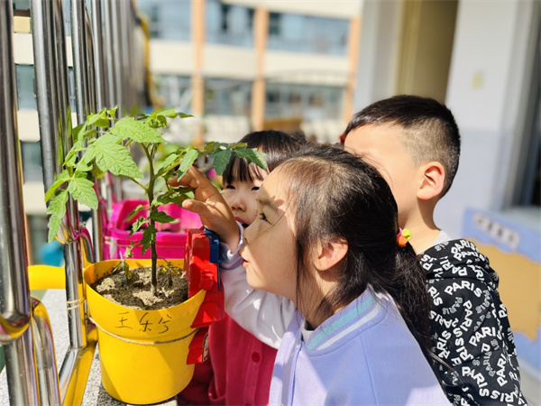 二幼：一隅角落   探寻自然之趣