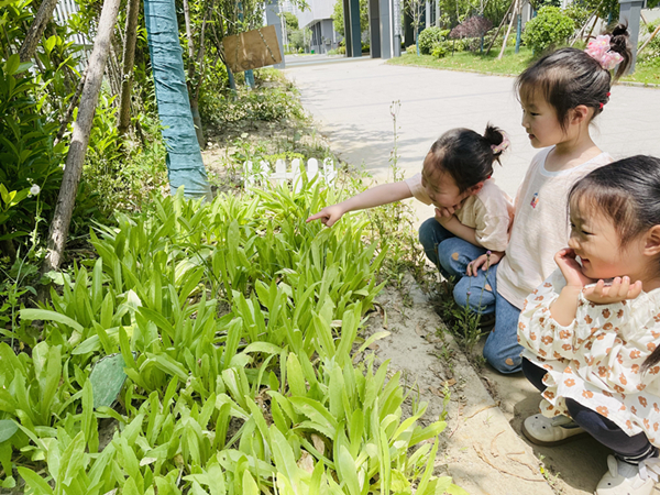 二幼：薰风带夏来 万物并秀时