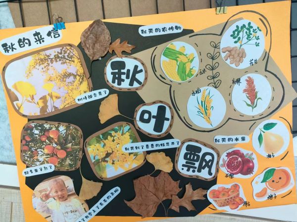 二幼：秋叶飘飘秋意浓  家园合作共探索