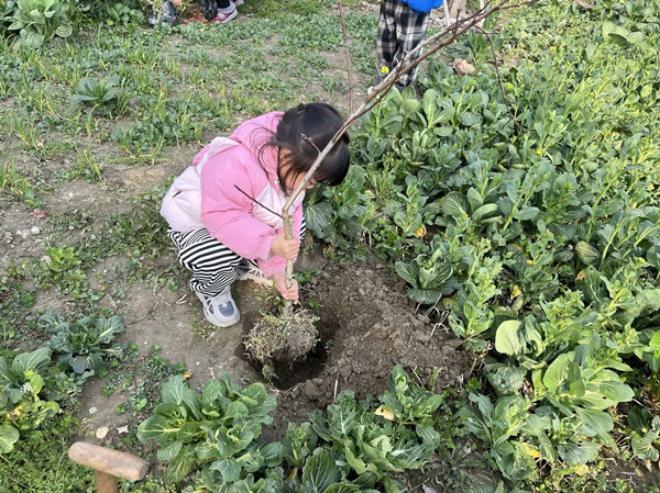 e708a2b4f5314fea96d16576c275b4b8.jpg e708a2b4f5314fea96d16576c275b4b8.jpg