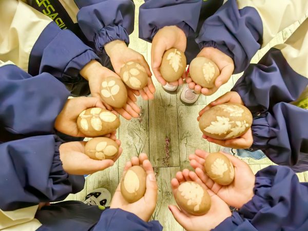 b4dec3c88f3e416da08b99c66ae87800.jpg b4dec3c88f3e416da08b99c66ae87800.jpg