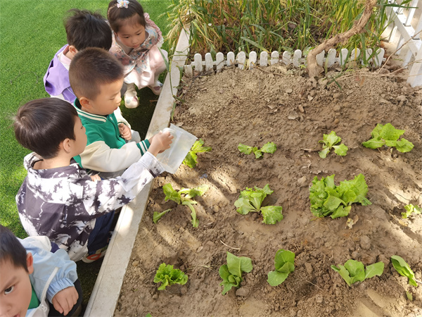 0079954c1fa54f1f9ce725ec0c684378.jpg 0079954c1fa54f1f9ce725ec0c684378.jpg