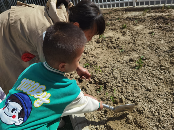 8e1b52afe7ea4cacbdd56e9ae2743f5e.jpg 8e1b52afe7ea4cacbdd56e9ae2743f5e.jpg