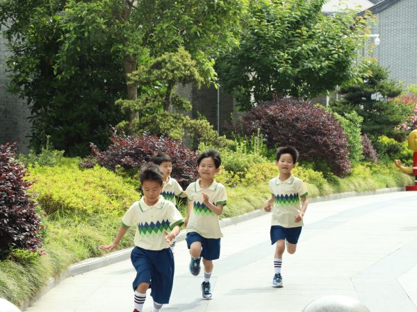 二幼：寻老街记忆  悟幸福生活