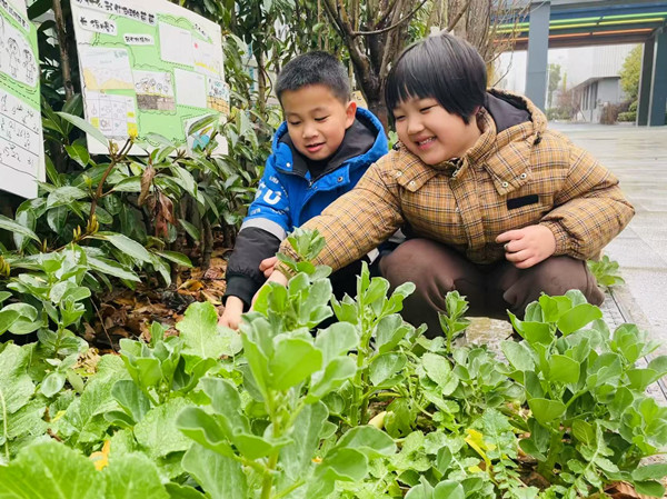 二幼：趣探惊蛰   共赴春日约