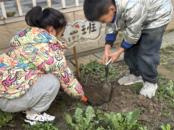 二幼：共植“毕业树”    许下未来梦