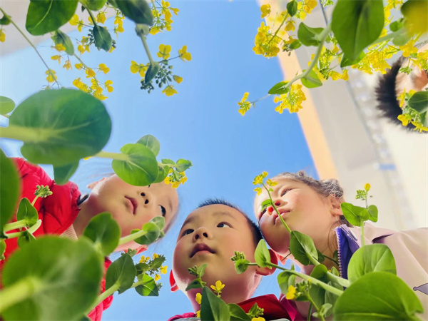 二幼：春日童趣  感恩自然