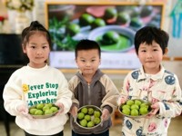 二幼：缤纷春日  行走的思政课出彩出新