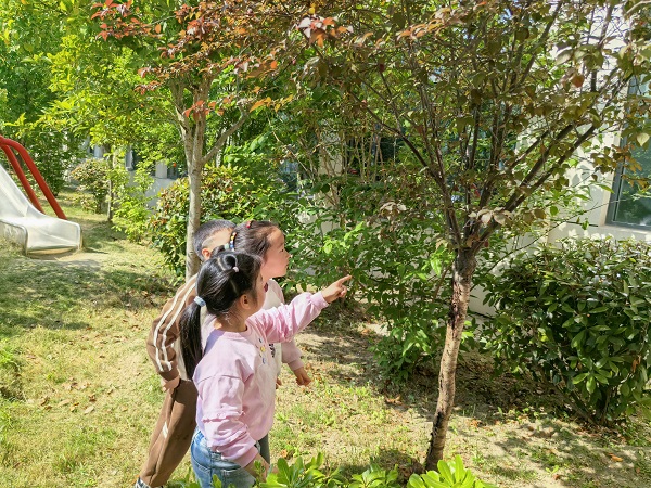 二幼：童眸拾夏    在自然的褶皱里触摸生长