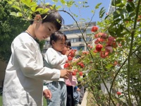 童心与自然的浪漫交响曲  ——让每一朵花都成为孩子的“自然启蒙老师”