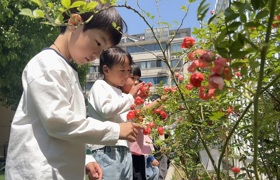 童心与自然的浪漫交响曲  ——让每一朵花都成为孩子的“自然启蒙老师”