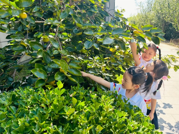 二幼：遇见秋分   邂逅四时之美