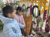 探索洋葱秘密：一次充满发现的植物角科学之旅