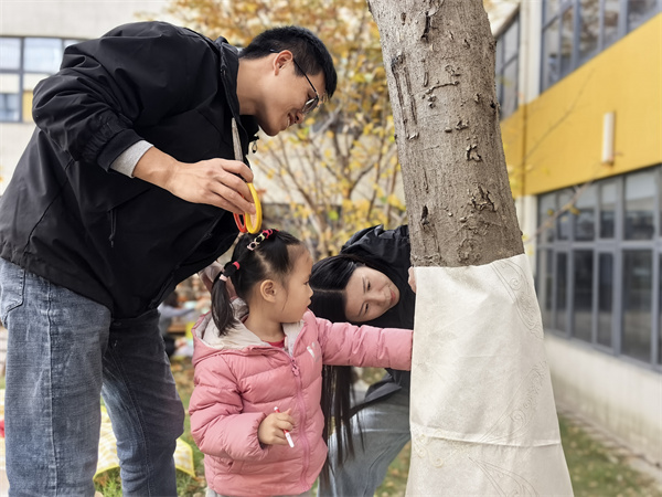 二幼：家园携手添暖意  大树换装迎寒冬